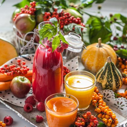 Red Flowers and Berries in Natural Light – Editorial Food Image