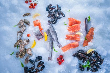 Red Fish on Ice, Food Photography – Commercial Food Photography