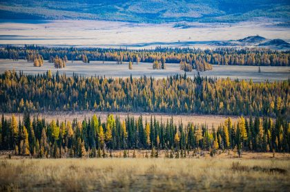 Golden Fields, Sunlight – Travel Photography Portfolio
