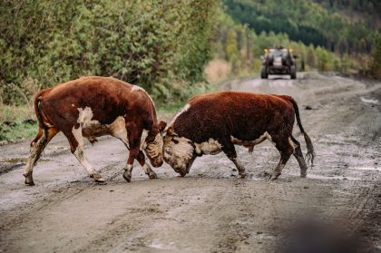 Landscape, Road – Scenic Photography Portfolio