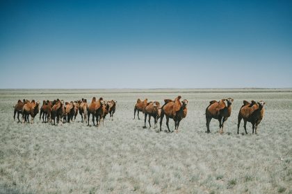 Landscape, Mountains, Landscape – Travel Photography