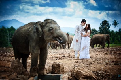 Wedding Photograph: Happy Couple in a Garden – Romantic Wedding Image